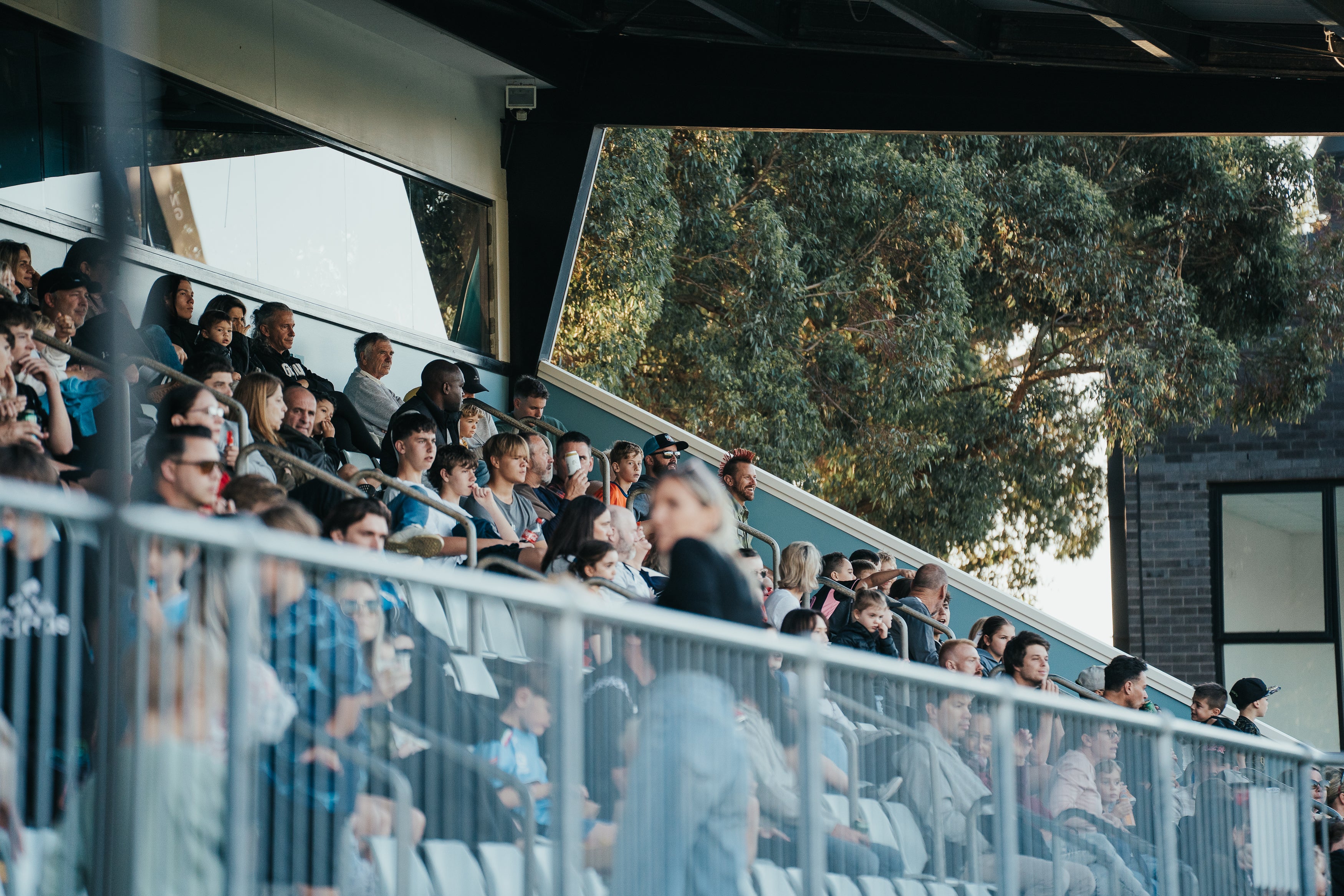 Sutherland Sharks v Rockdale Ilinden FC