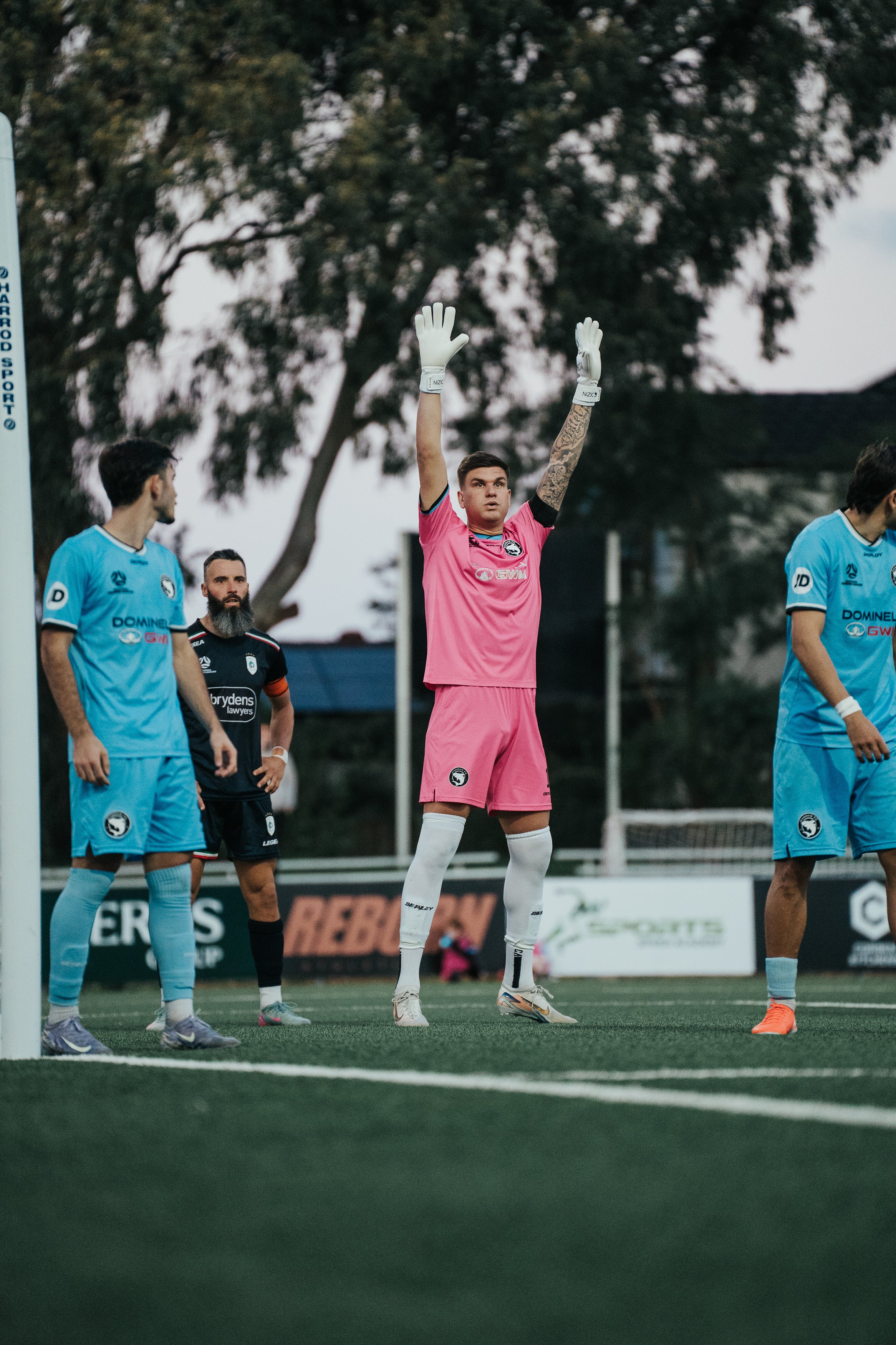 Sutherland Sharks v Marconi Stallions