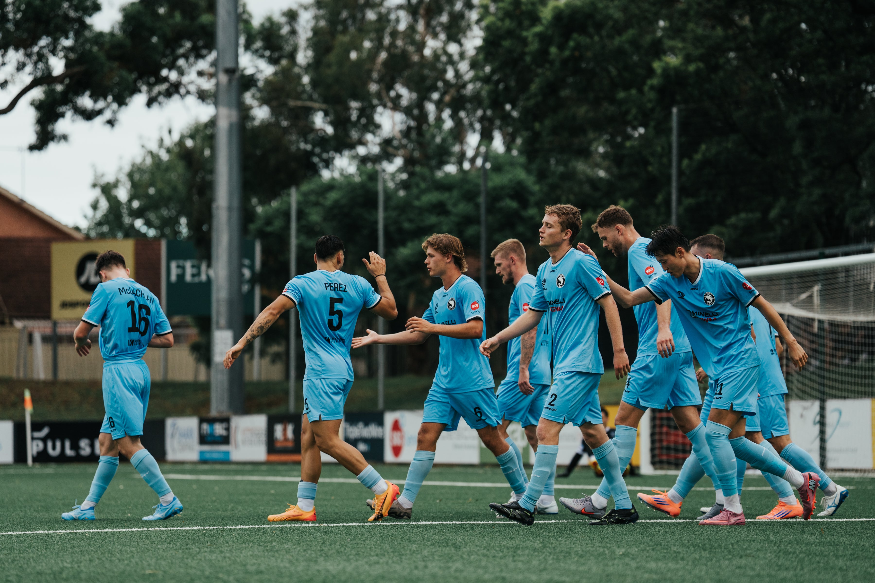 Sutherland Sharks v Blacktown City FC