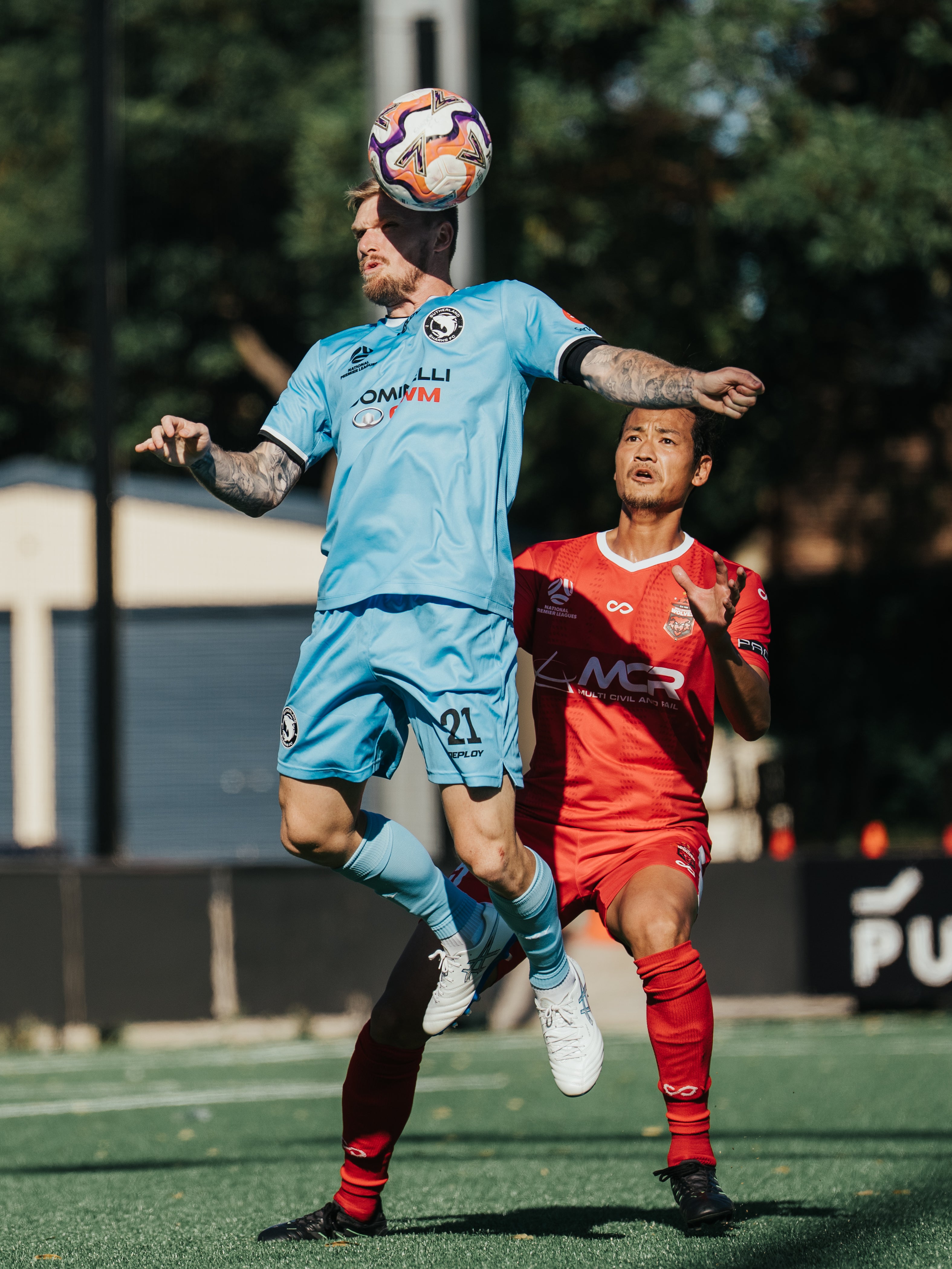 Sutherland Sharks v Wollongong Wolves FC - Derby Day