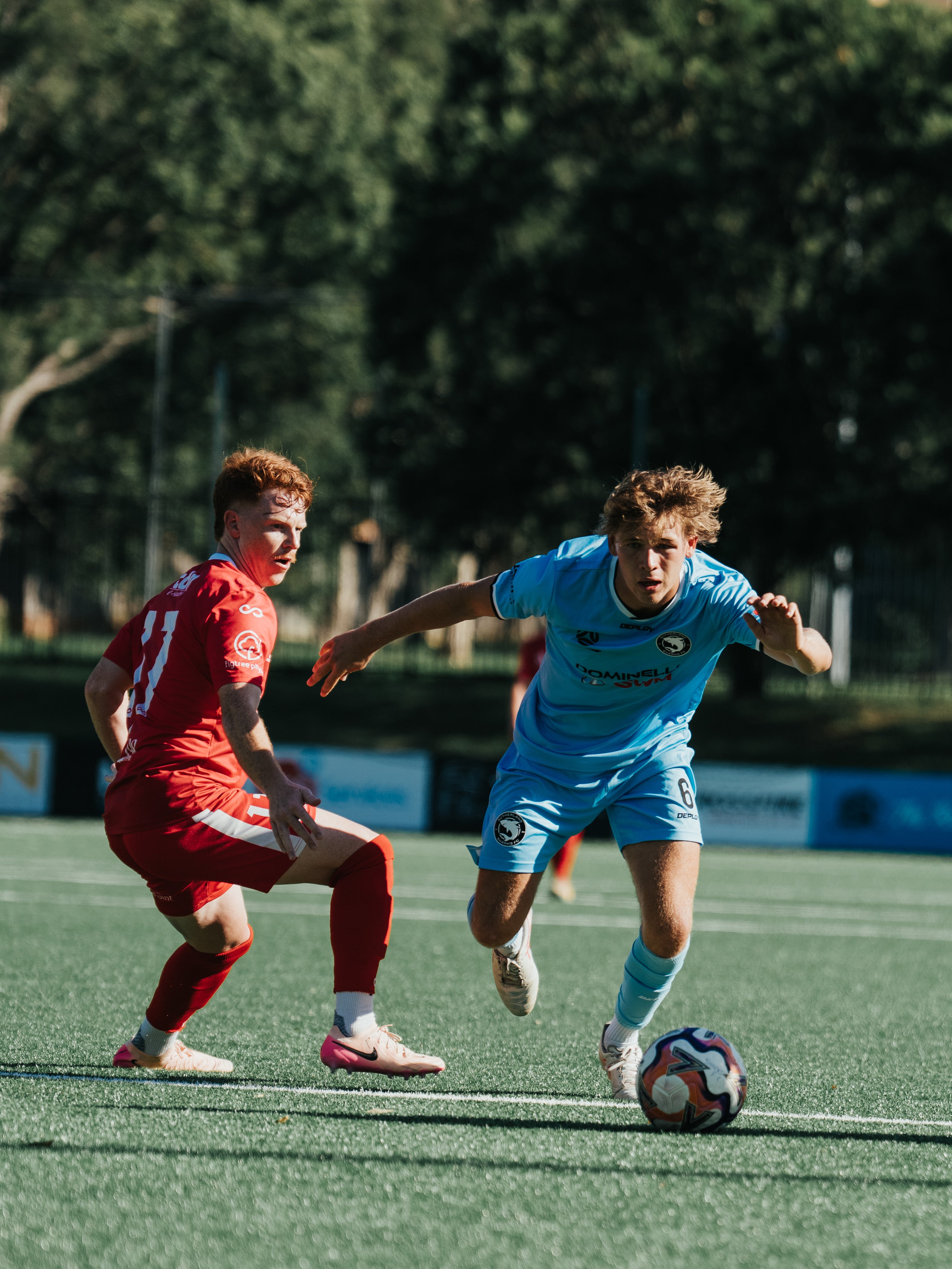 Sutherland Sharks v Wollongong Wolves FC - Derby Day