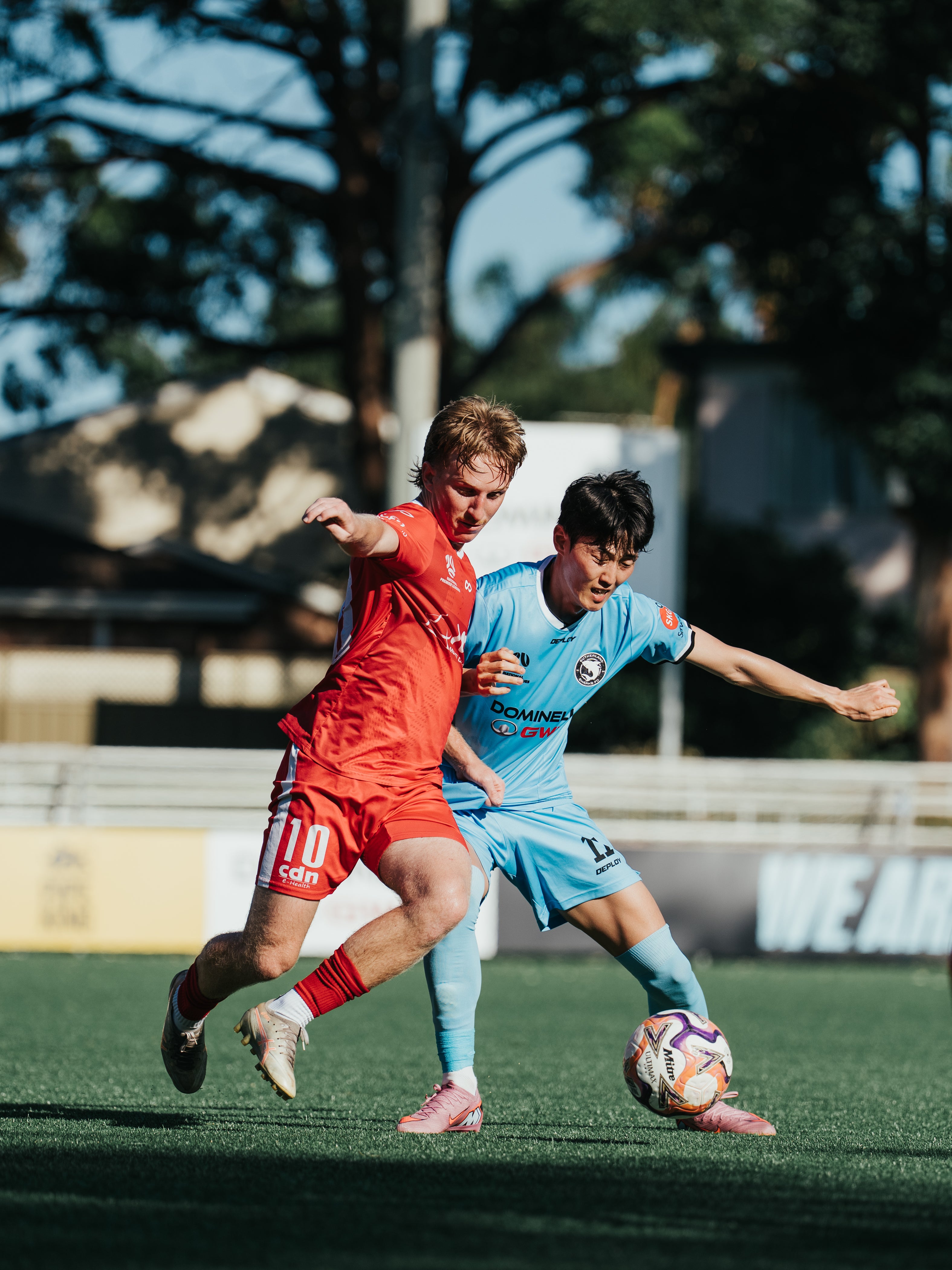 Sutherland Sharks v Wollongong Wolves FC - Derby Day