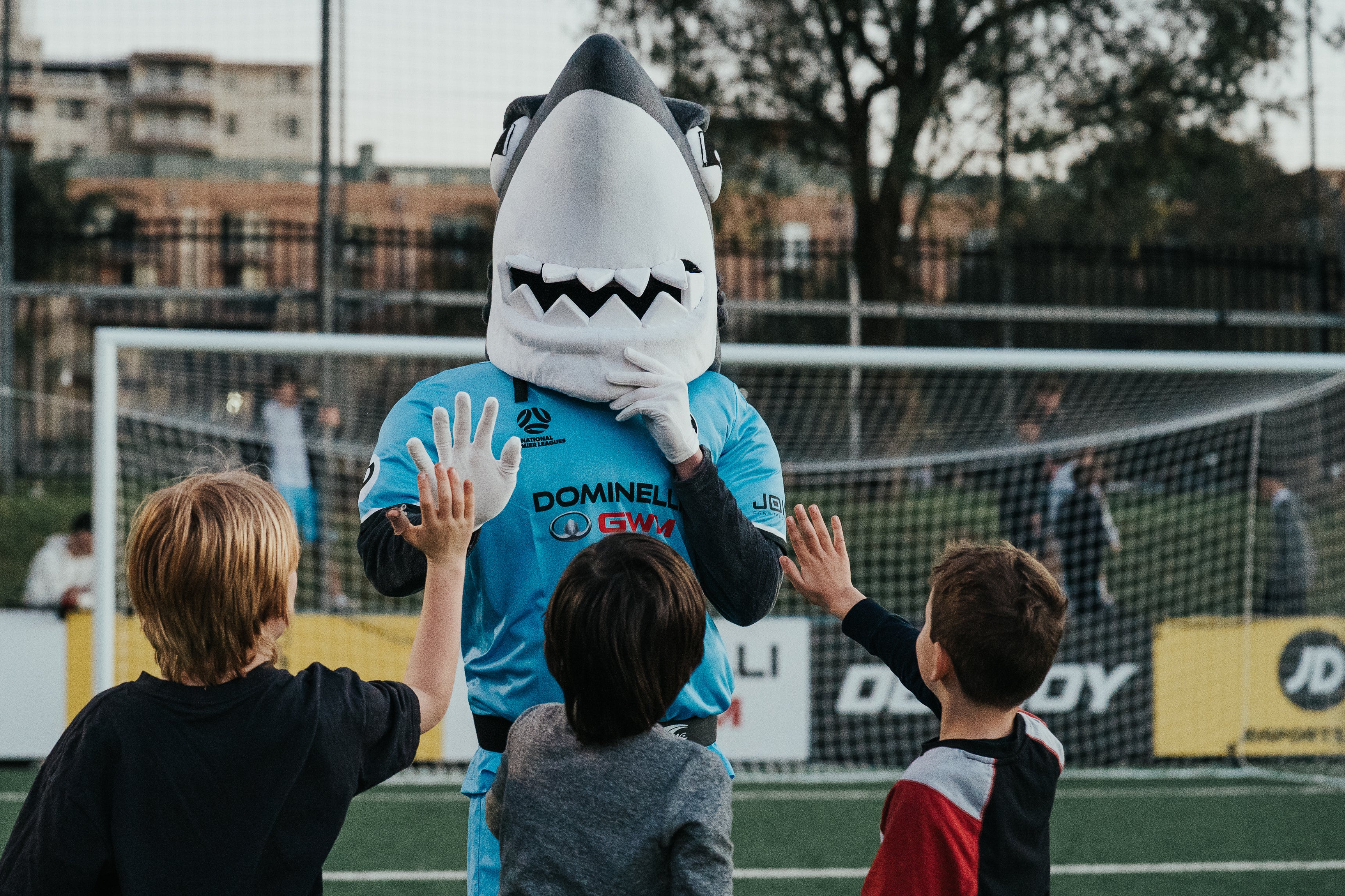 Sutherland Sharks v St George FC