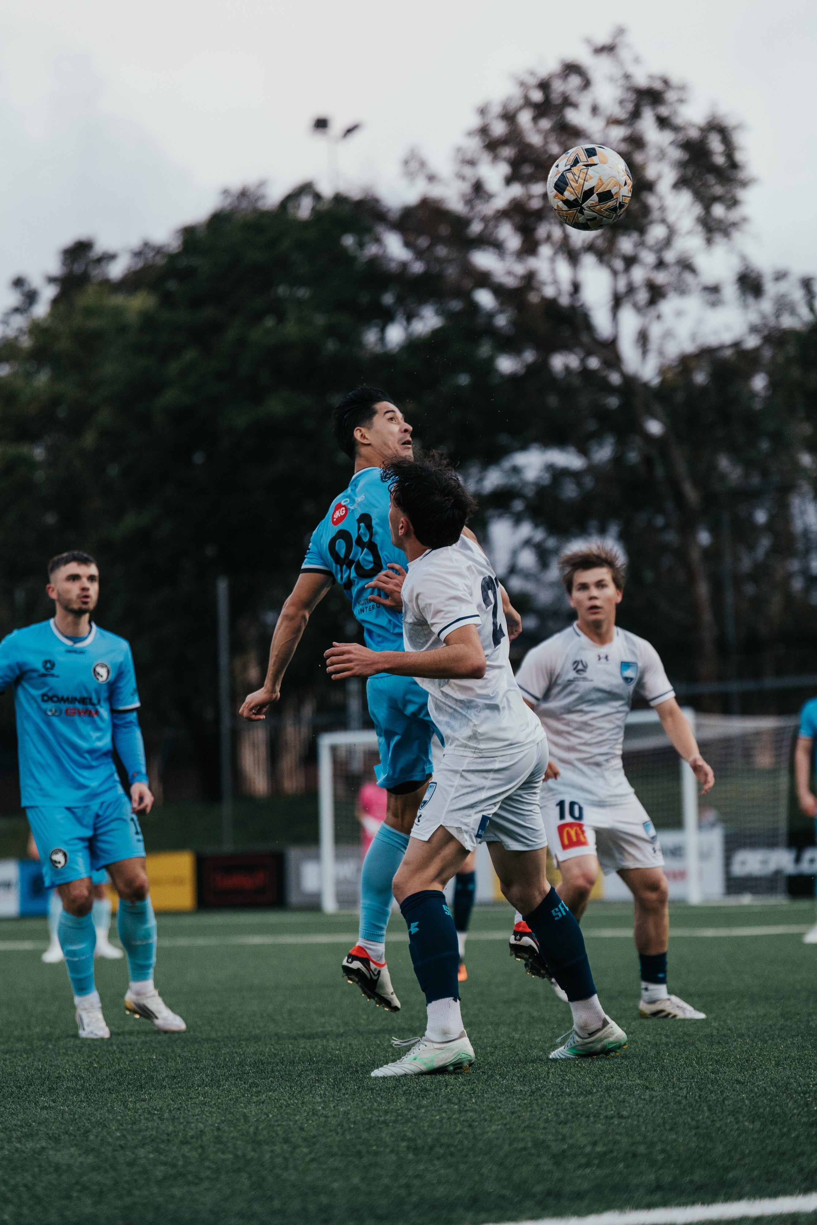 Sutherland Sharks v Sydney FC